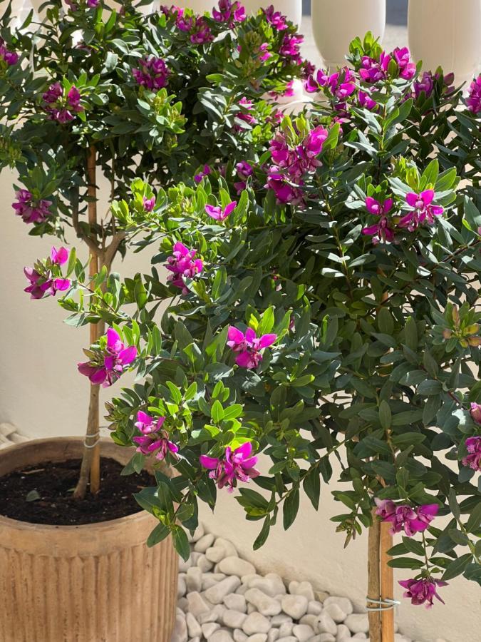 Fresh Apartment, 2 Bedroom, 2 Bathroom, 2 Lovely Poolareas Los Alcázares Extérieur photo